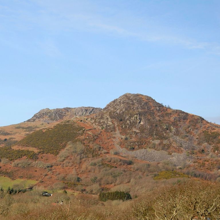 Moel Y Gest (Local Mountain)